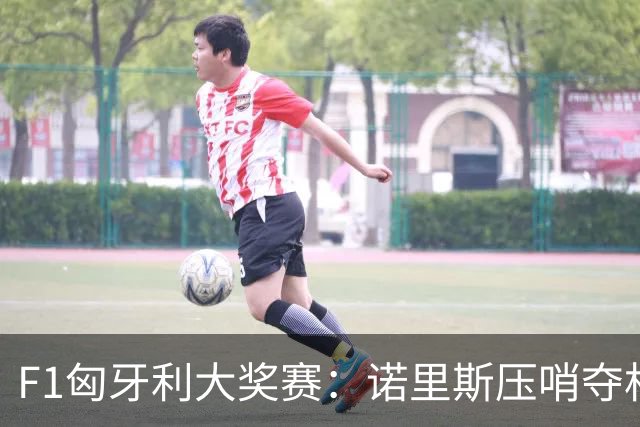 F1匈牙利大奖赛：诺里斯压哨夺杆